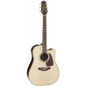 TAKAMINE P5DC