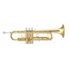 MAXTONE TTC6L