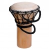 MAXTONE DJC 5L