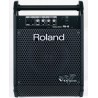 ROLAND PM10