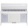 KURZWEIL CUP-2 PW