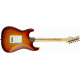 FENDER AMERICAN PROFESSIONAL STRATOCASTER (ASH) MN SSB