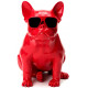 JARRE TECHNOLOGIES AEROBULL XS1 GLOSSY RED