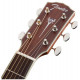 FENDER PM-1 DEADNOUGHT ALL MAHOGANY WITH CASE NATURAL