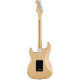 FENDER AMERICAN PROFESSIONAL STRATOCASTER MN NATURAL