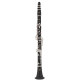 Buffet Crampon Prodige BC2541-2-0GB
