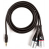 D'ADDARIO PW-MPXLR-06 Custom Series 1/8” to Dual XLR Audio Cable