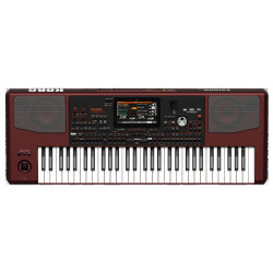 KORG PA1000