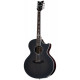 SCHECTER SYNYSTER GATES 'SYN GA SC' ACOUSTIC TBBS