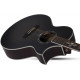 SCHECTER SYNYSTER GATES 'SYN GA SC' ACOUSTIC TBBS