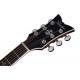 SCHECTER SYNYSTER GATES 'SYN GA SC' ACOUSTIC TBBS