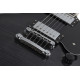 SCHECTER Solo II Custom TBB