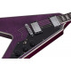 SCHECTER V-1 CUSTOM TPUR