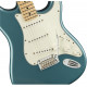 FENDER PLAYER STRATOCASTER MN TPL