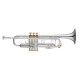 BACH STRADIVARIUS CENTENNIAL - 190S43W2