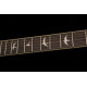 PRS SE Mark Tremonti Standard (Black)