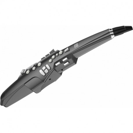 ROLAND AE10G