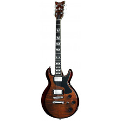 SCHECTER S-1 CUSTOM TAMB 2011