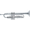 J.MICHAEL TR-300SA (S) Trumpet
