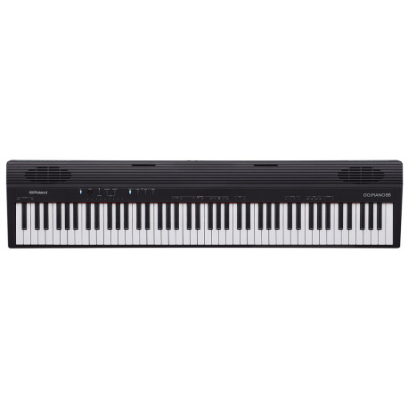 ROLAND GO88P