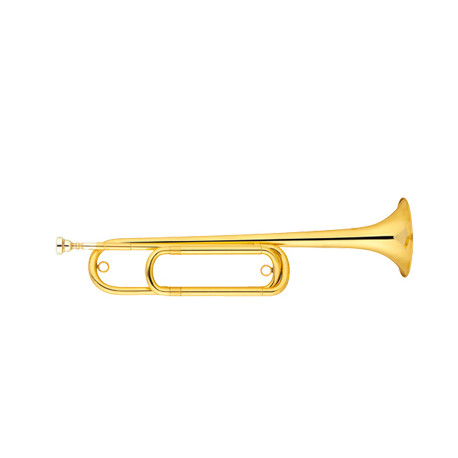 MAXTONE TBC53/L5