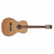 Гитара акустическая Richwood RV-70-NT blues guitar
