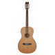 Гитара акустическая Richwood RV-70-NT blues guitar