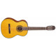 TAKAMINE GC3 NAT