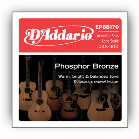 D`ADDARIO EPBB170 ACOUSTIC BASS PHOSPHOR BRONZE 4 STRING