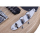 SCHECTER CV-5 GNAT