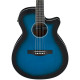 IBANEZ AEG7-TBO