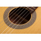CORT AC100 (Open Pore) с чехлом
