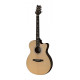 PRS SE AX20E