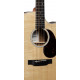 MARTIN GPC-13E