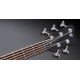 WARWICK Teambuilt Pro Series Corvette $$, 5-String (Nirvana Black Transparent Satin)