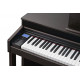 KURZWEIL CUP310 SR