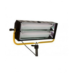 De Sisti Lighting DeSisti 4600.110 DE-LUX 230V 2X55 M.O. DMX