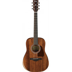 IBANEZ AW54JR OPN