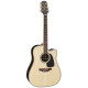 TAKAMINE GD15CE NAT