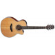 TAKAMINE GN20CE NS