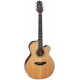 TAKAMINE GN20CE NS