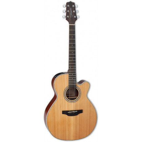 TAKAMINE GN20CE NS