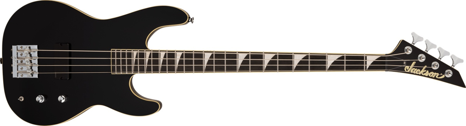 Concert Bass